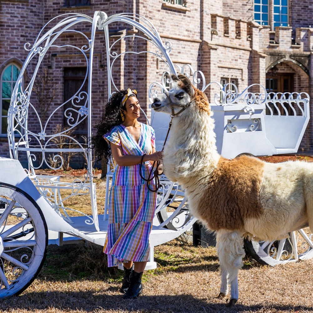 J. Crew Multicolor Striped Dress